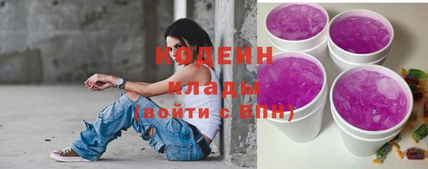 прущие грибы Заволжье