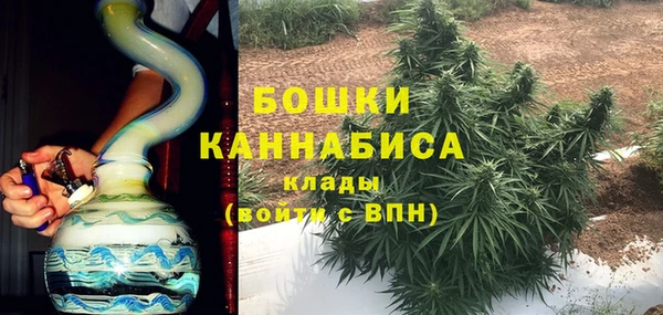 прущие грибы Заволжье