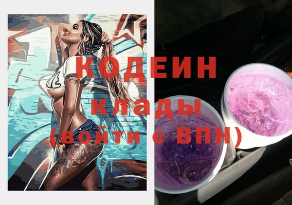 прущие грибы Заволжье
