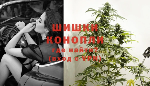 прущие грибы Заволжье