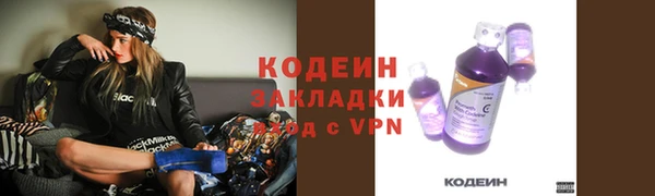 прущие грибы Заволжье