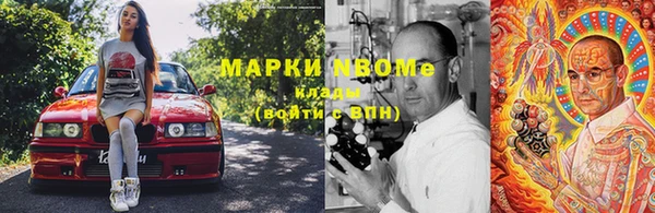 прущие грибы Заволжье
