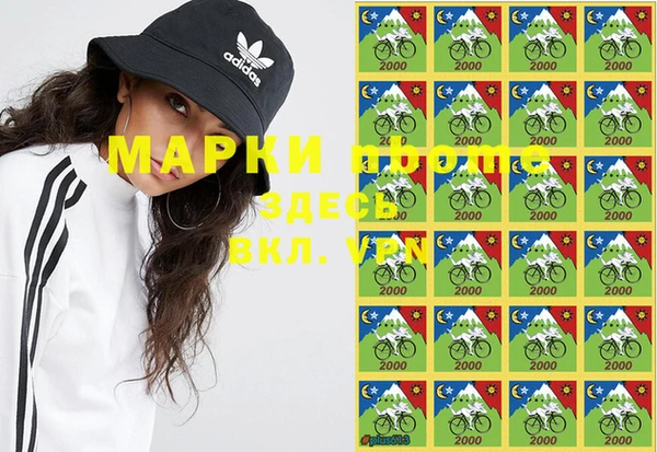 прущие грибы Заволжье