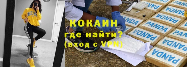прущие грибы Заволжье