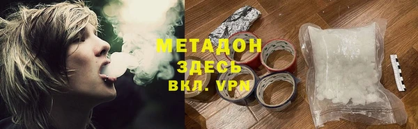 прущие грибы Заволжье