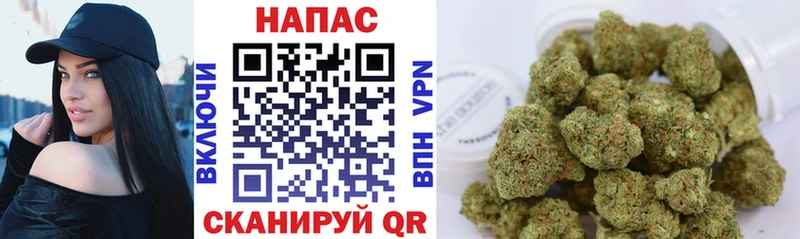 Купить закладки  Дорогобуж  Канабис индика 